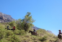 /album/fotogaleria-fotogaleria/dsc-0410-2-jpg/